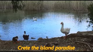 preview picture of video 'Almiros River Agios Nikolaos Crete - ΑΓΙΟΣ ΝΙΚΟΛΑΟΣ ΚΡΗΤΗ'