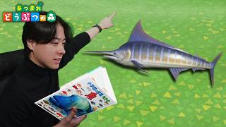 本物の図鑑で行くあつもり‼ ＃30【あつまれ どうぶつの森】