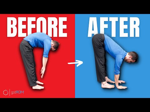 How To Touch Your Toes (5-MINS!)