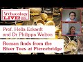 Bridge over troubled water: Roman finds from Piercebridge: Prof Hella Eckardt & Dr Philippa Walton