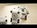 Introducing The Cozmo SDK