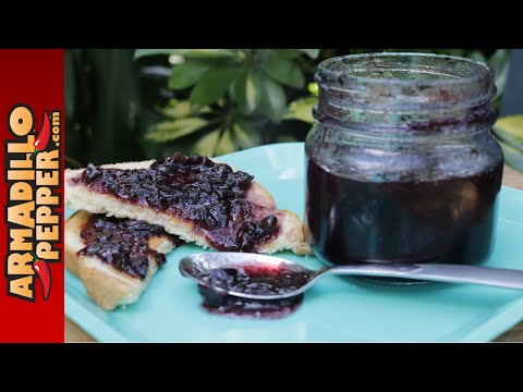 download lagu mp3 mp4 Paleo Chilli Jam, download lagu Paleo Chilli Jam gratis, unduh video klip Paleo Chilli Jam