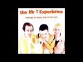 The Mr. T Experience - Another Yesterday