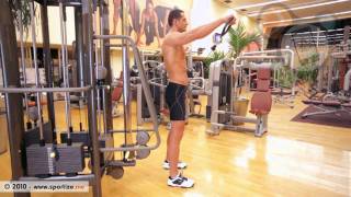 Standing one arm front raises on cable pulley - Elevación frontal a una mano de pie en polea