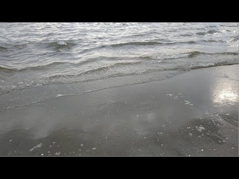 波打ち際で　Let's go to pao-pao island / パズルボブル