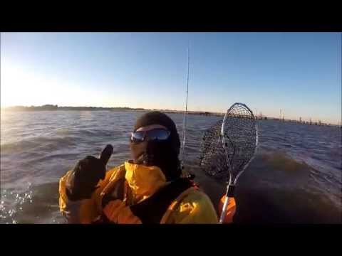 Cape Henlopen and Ocean City Inlet, Nov 19, 2014