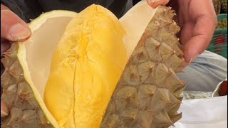 WARNING Durian Peelers Are Getting It WRONG Here's The Right Way