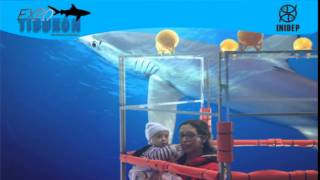 DIA 3 Expo Tiburon194