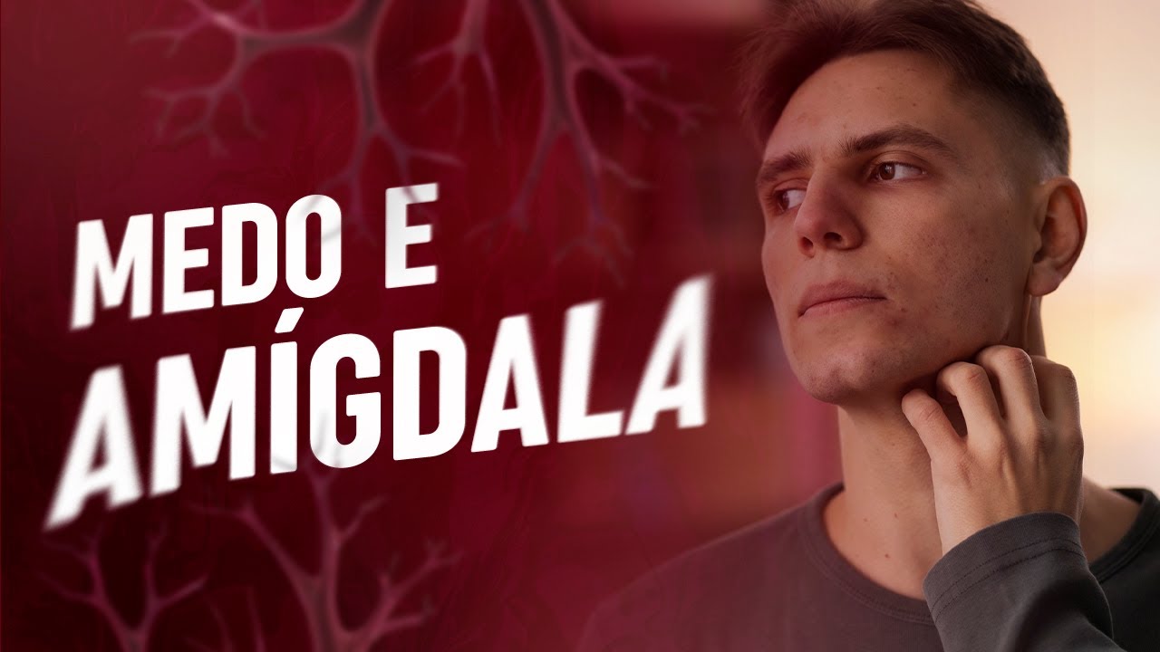A Neurociência do Medo: O Papel da Amígdala no Controle das Emoções | Entenda o Cérebro!