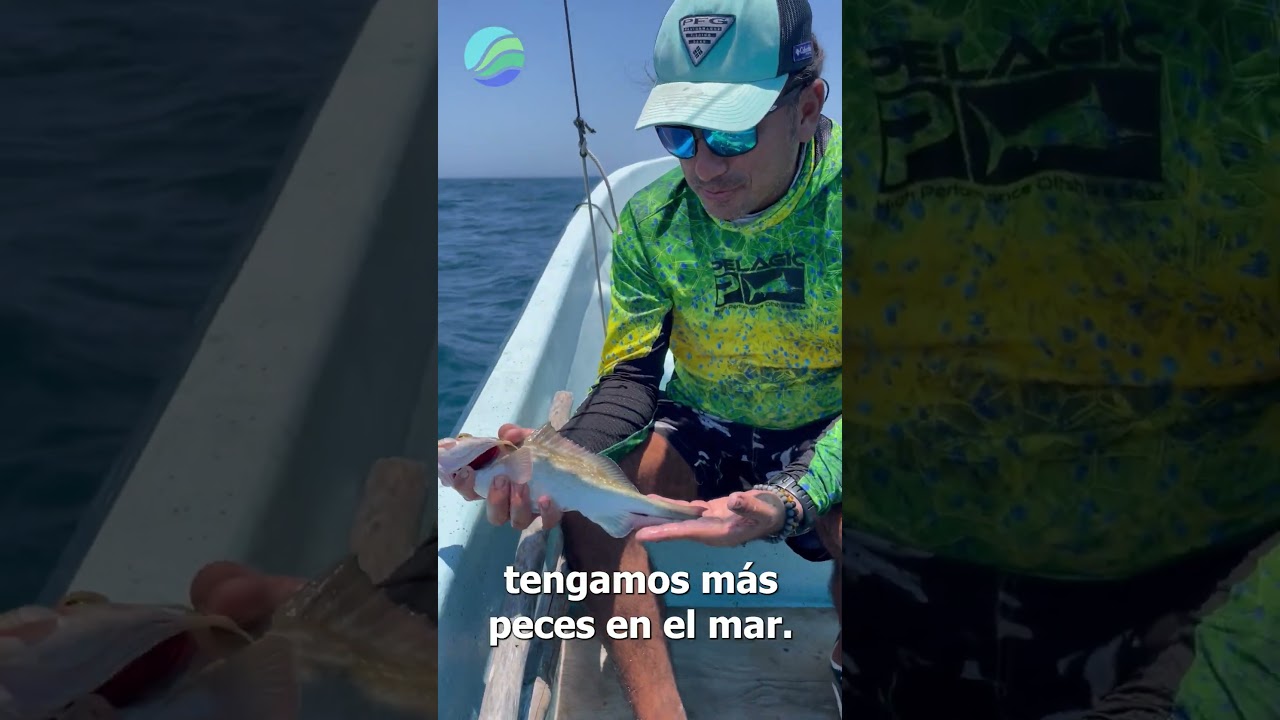 Tallas pequeñas en la pesca