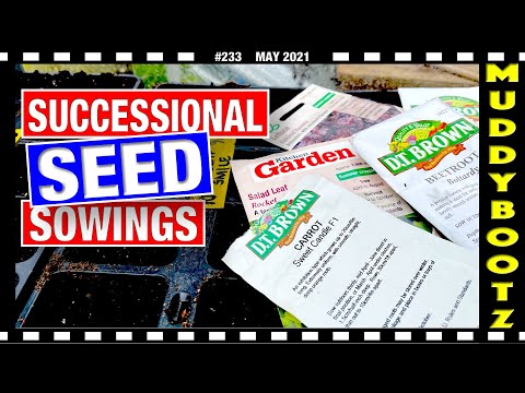 🌻233🌻 SUCCESSIONAL SEED SOWING 🌻 ASPARAGUS HARVEST 🌻