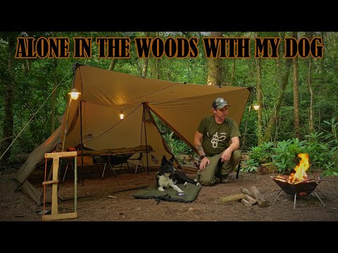 Camping ALONE with my dog DEEP in a wood using ONLY Onetigris gear