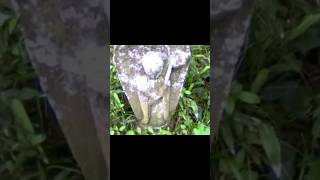 螻ア驕薙？逾樒、セ縺ォ縺ヲ
