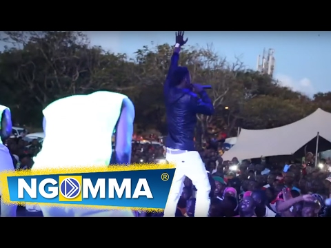 Dazlah live at mamangina drive {marathon}