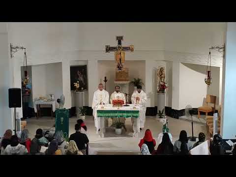 Holy Mass @ Terra Santa church Jerusalem ⛪🫂🕊️