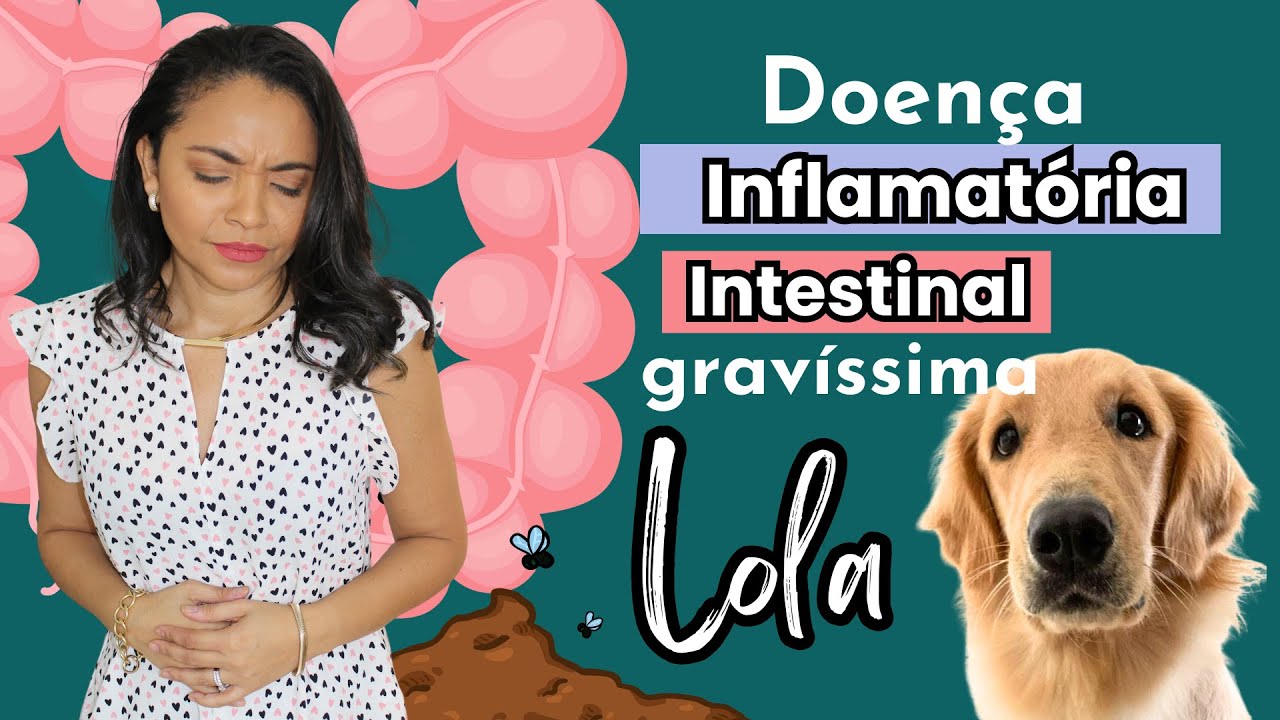 #DOENÇA #INFLAMATÓRIA #INTESTINAL GRAVE - CASO LOLA