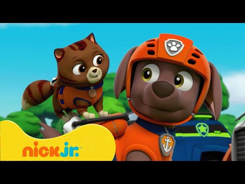 Capa de Patrulha Canina | Procurando Fantasmas na Floresta! 👻 | Nick Jr. em Português