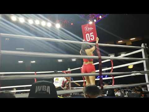 Carlos "Arañita" Ortega VS. Leyman Benavides