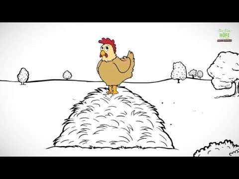 Das essen Henne Rita & Co. auf den Eierhöfen Baden-Württemberg