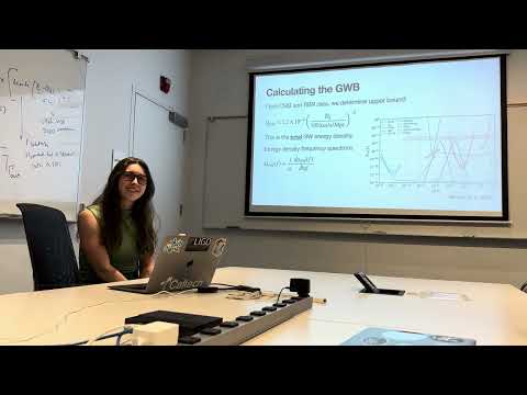 The Stochastic GW Background: What it is and current research (Taylor Knapp)