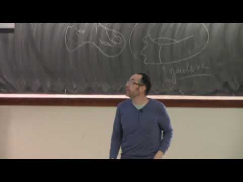 Tondeur Mathematics Lectures 2019: Recent progress on existence of minimal surfaces I (André Neves)