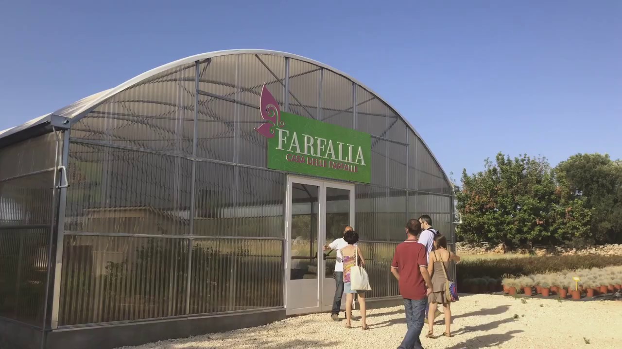 Farfalia, Monopoli