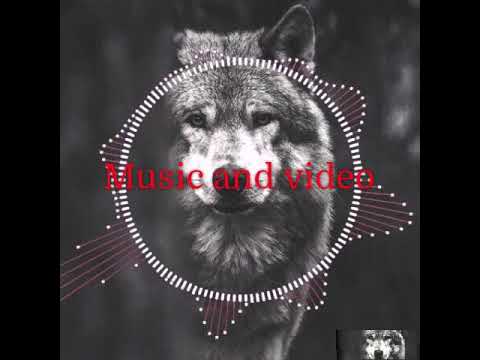 Mafia Muzik - Bass Trap Remix - EmkaMuzik | Kurtlar Vadsi Muzik.