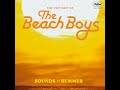 Wouldn't It Be Nice de The Beach Boys
