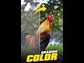Color Grading Photoshop Tutorial Easily Create Color Grading Photoshop