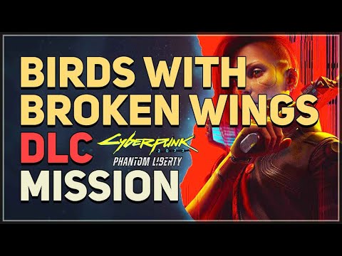 Birds with Broken Wings Cyberpunk 2077