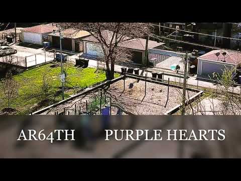 AR64TH PURPLE HEARTS