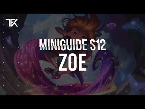 Zoe Miniguide S12 german | TFK
