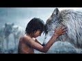 The Tale of an Orphan Boy who Became the Jungle King | Full Adventure Movie | English