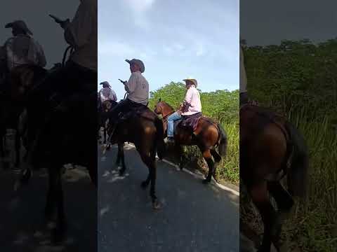 DE LA APARTADA- AYAPEL❤️ #viralreel #fishing #viralshort #pueblo #campo #Ayapel #viralvideos