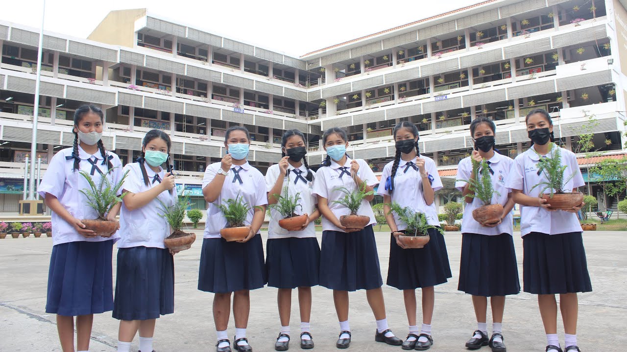 ปลูกรักฝากไว้ให้บำรุงรักษา