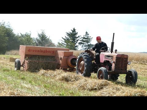 IH 275 Baling w/ Dronningborg D360 Baler | Old Timers | Danish Agriculture