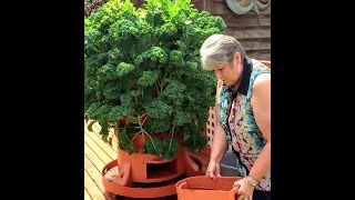 Sue Glenns Winter Harvest in the Pacific Northwest