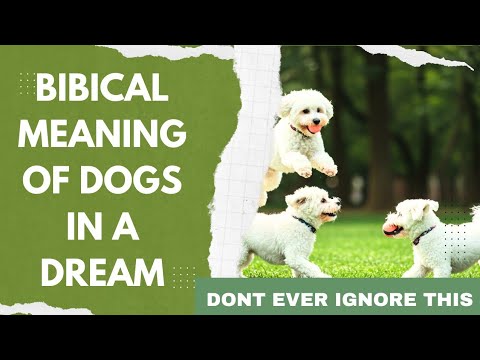 Biblical Meaning of Dog Dreams | Dream about Dogs Meaning