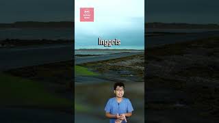 Download lagu The appearance of the rising sea water submerging the road mp3