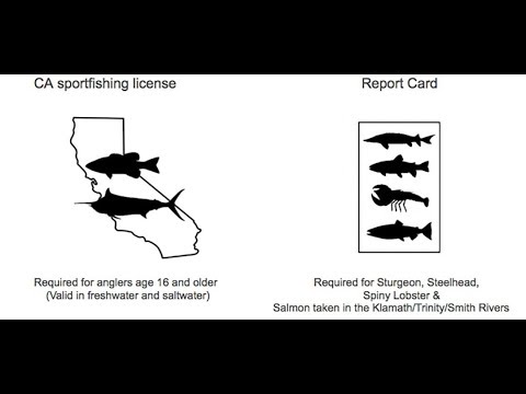 download lagu mp3 mp4 Colorado Fishing License 2019, download mp3 Colorado Fishing License 2019 free download, download mp3 Colorado Fishing License 2019