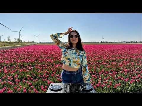 POSITIVE HOUSE DJ MIX | AVICII, FRED AGAIN, BLOND:ISH, DAVID GUETTA | TULIP FIELDS, THE NETHERLANDS