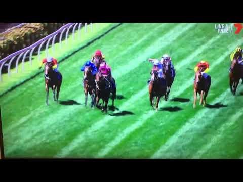 2016 Coolmore Stakes - Flying Artie