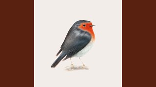 La canzone che hai scritto tu