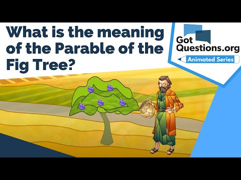 What is the meaning of the Parable of the Fig Tree?  |  GotQuestions.org