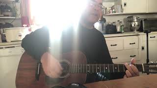 Goodbye Michelangelo - Steve Earle - solo acoustic cover