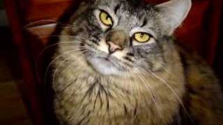 To All The Girls I&#39;ve Loved Before