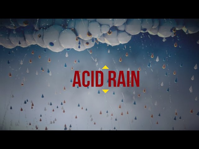 Understanding Acid Rain: Causes, Effects, and Implications | Magica
