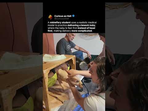 Midwife Training in Action 🏥