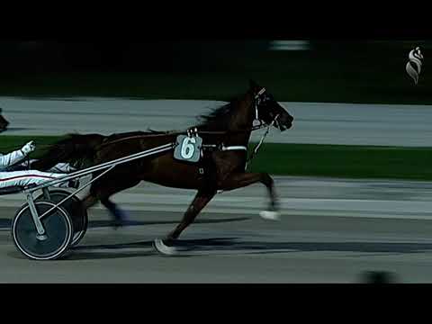 Aversa trotto 12 Gennaio 2022 - 5° Corsa