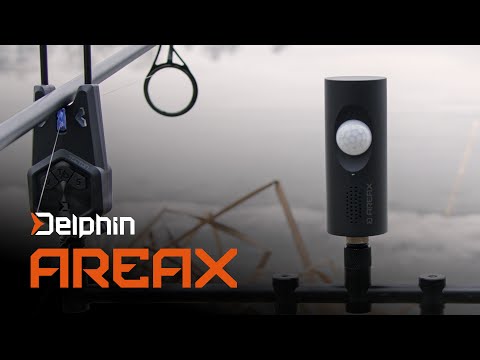 Delphin AreaX